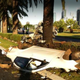 Illustration for article titled Car split in two in fatal high-speed crash